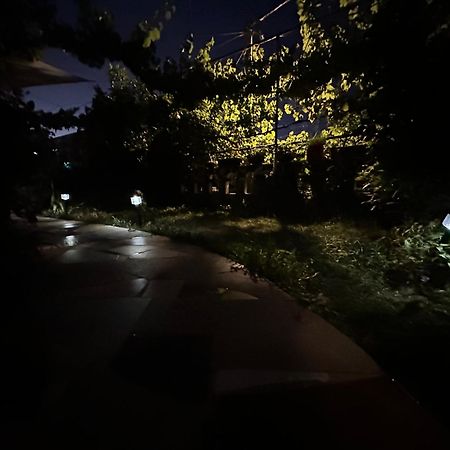 Villa Zeko Gjirokastër Buitenkant foto